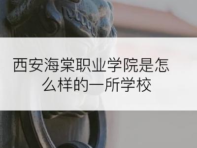 西安海棠职业学院是怎么样的一所学校