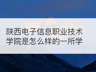 陕西电子信息职业技术学院是怎么样的一所学校