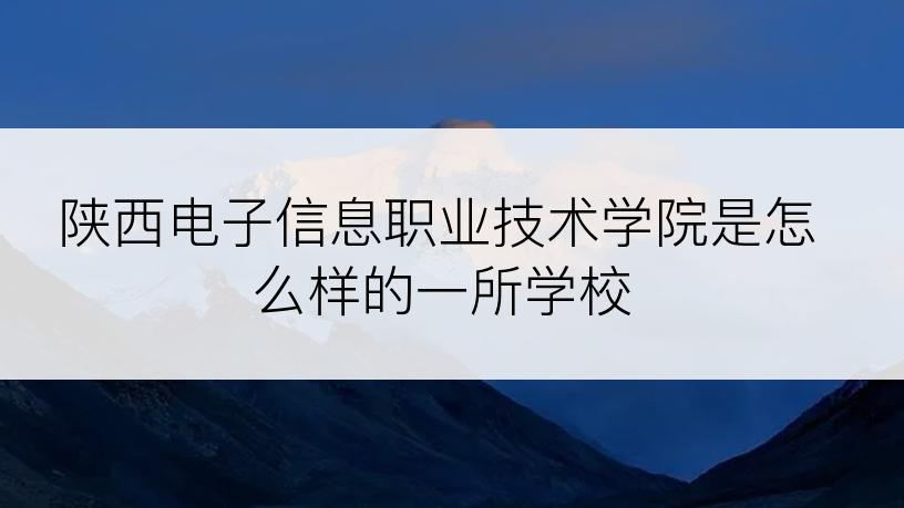 陕西电子信息职业技术学院是怎么样的一所学校