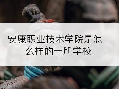 安康职业技术学院是怎么样的一所学校