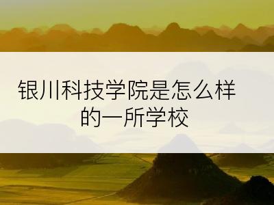 银川科技学院是怎么样的一所学校