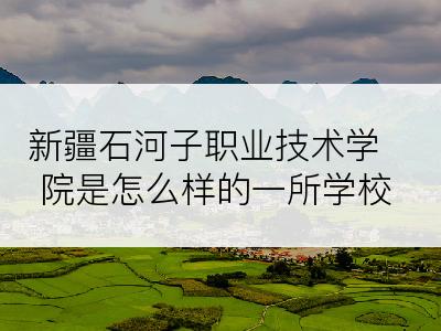 新疆石河子职业技术学院是怎么样的一所学校