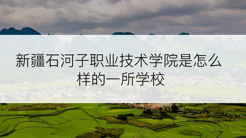 新疆石河子职业技术学院是怎么样的一所学校