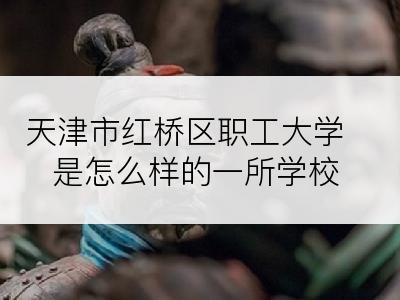 天津市红桥区职工大学是怎么样的一所学校