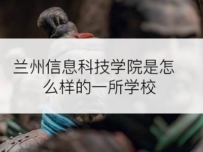 兰州信息科技学院是怎么样的一所学校