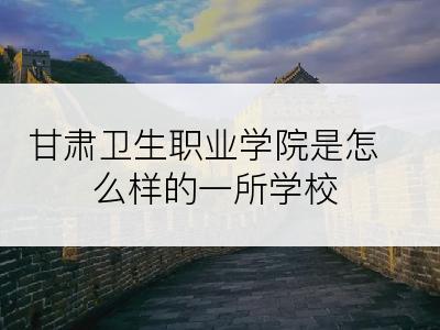 甘肃卫生职业学院是怎么样的一所学校