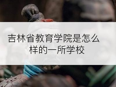 吉林省教育学院是怎么样的一所学校