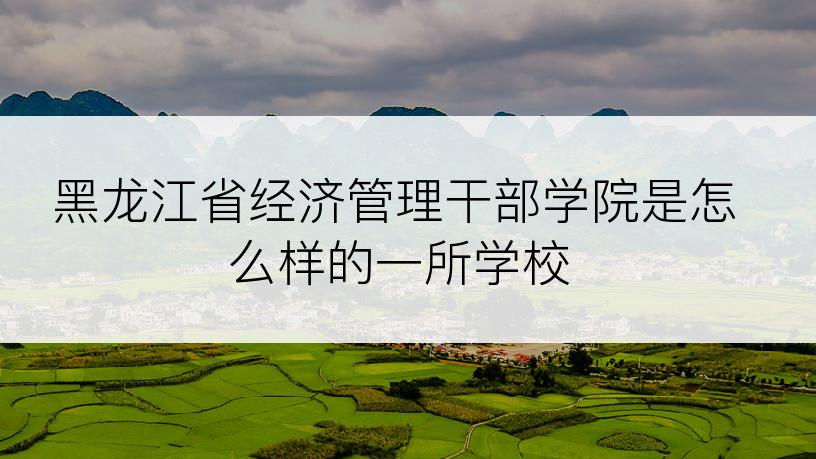 黑龙江省经济管理干部学院是怎么样的一所学校