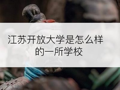 江苏开放大学是怎么样的一所学校