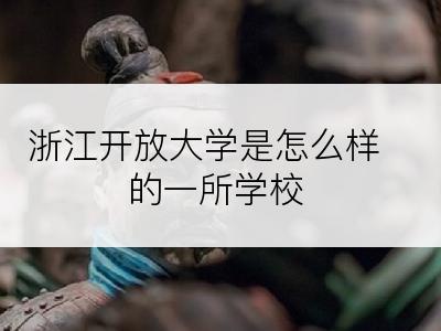 浙江开放大学是怎么样的一所学校