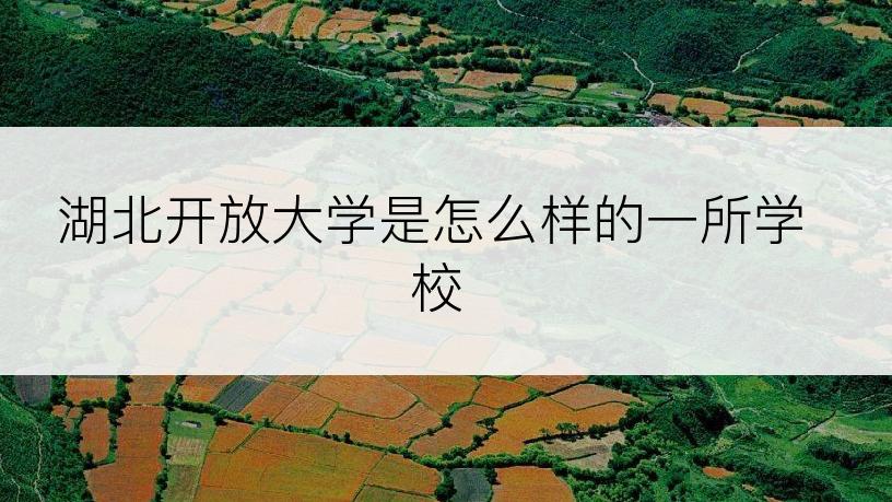 湖北开放大学是怎么样的一所学校