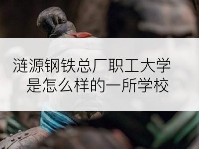 涟源钢铁总厂职工大学是怎么样的一所学校