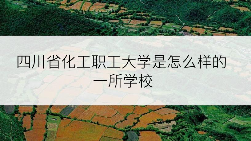 四川省化工职工大学是怎么样的一所学校