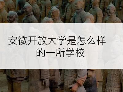 安徽开放大学是怎么样的一所学校