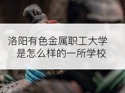 洛阳有色金属职工大学是怎么样的一所学校