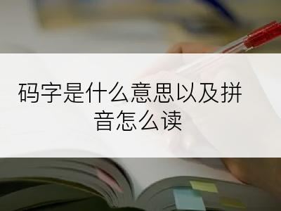 码字是什么意思以及拼音怎么读