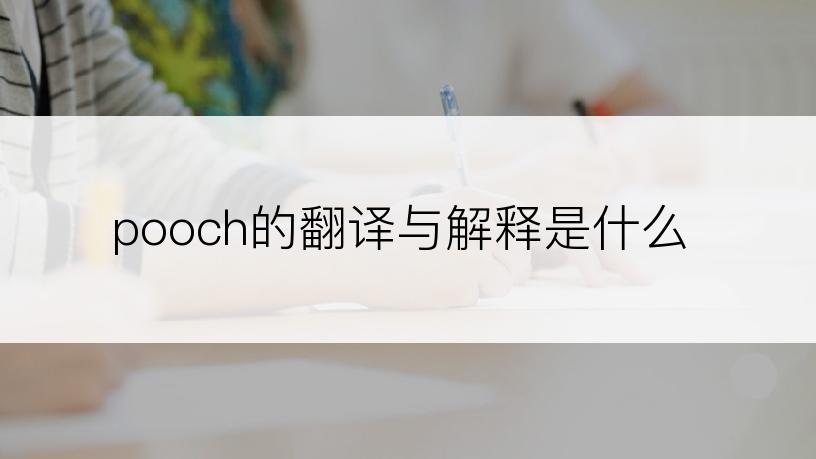 pooch的翻译与解释是什么