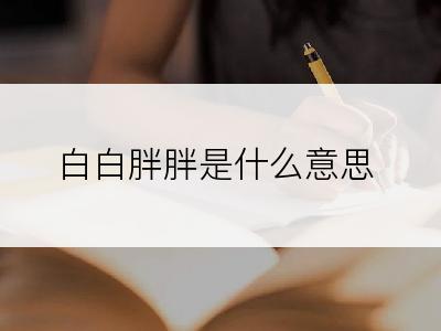 白白胖胖是什么意思