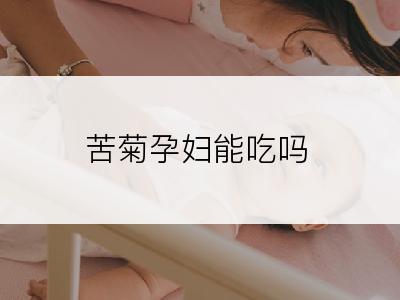 苦菊孕妇能吃吗