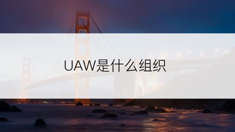 UAW是什么组织