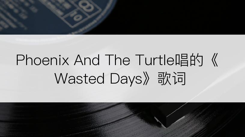 Phoenix And The Turtle唱的《Wasted Days》歌词