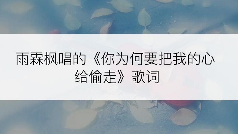 雨霖枫唱的《你为何要把我的心给偷走》歌词