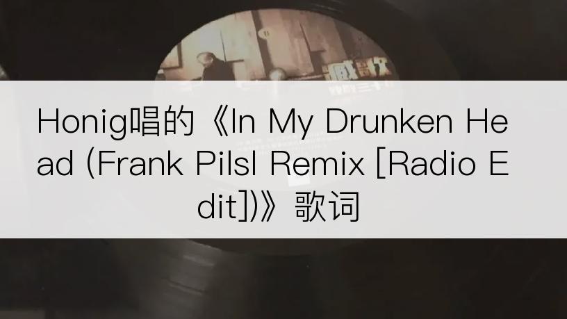 Honig唱的《In My Drunken Head (Frank Pilsl Remix [Radio Edit])》歌词