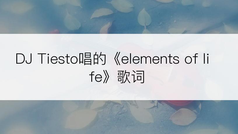 DJ Tiesto唱的《elements of life》歌词