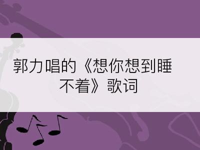 郭力唱的《想你想到睡不着》歌词