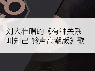 刘大壮唱的《有种关系叫知己 铃声高潮版》歌词