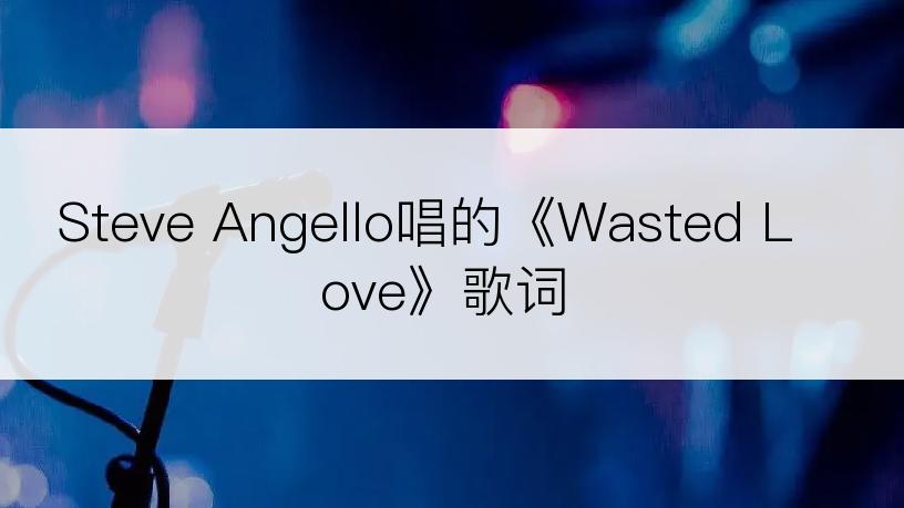 Steve Angello唱的《Wasted Love》歌词