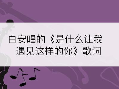 白安唱的《是什么让我遇见这样的你》歌词