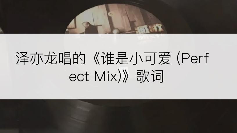 泽亦龙唱的《谁是小可爱 (Perfect Mix)》歌词