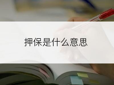 押保是什么意思