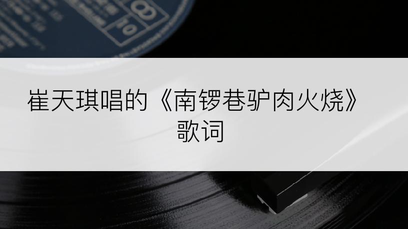 崔天琪唱的《南锣巷驴肉火烧》歌词