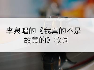 李泉唱的《我真的不是故意的》歌词