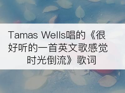 Tamas Wells唱的《很好听的一首英文歌感觉时光倒流》歌词