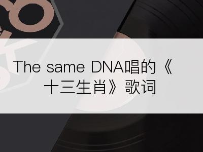 The same DNA唱的《十三生肖》歌词