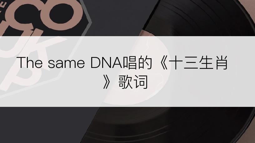 The same DNA唱的《十三生肖》歌词