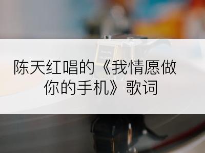 陈天红唱的《我情愿做你的手机》歌词