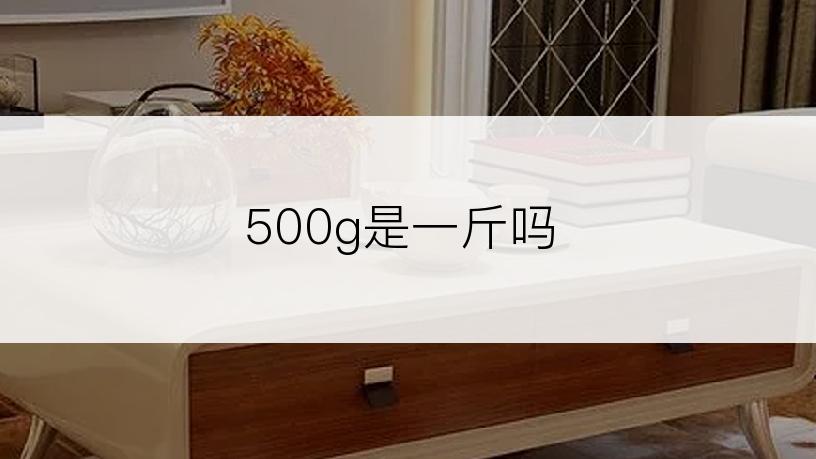 500g是一斤吗