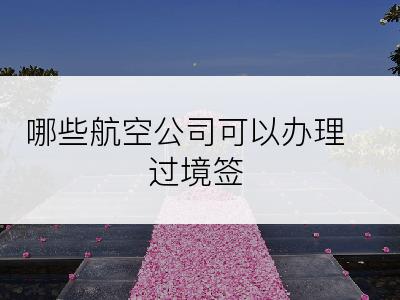 哪些航空公司可以办理过境签