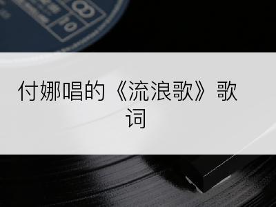 付娜唱的《流浪歌》歌词