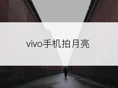 vivo手机拍月亮