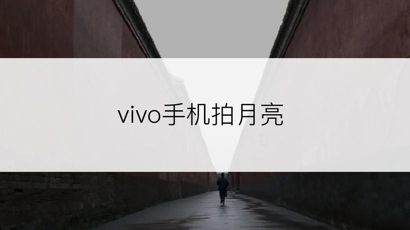 vivo手机拍月亮