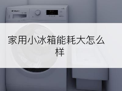 家用小冰箱能耗大怎么样