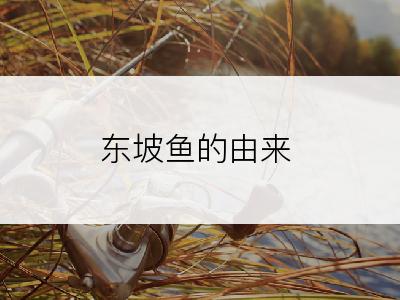 东坡鱼的由来