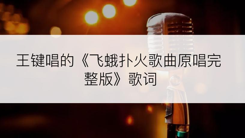 王键唱的《飞蛾扑火歌曲原唱完整版》歌词