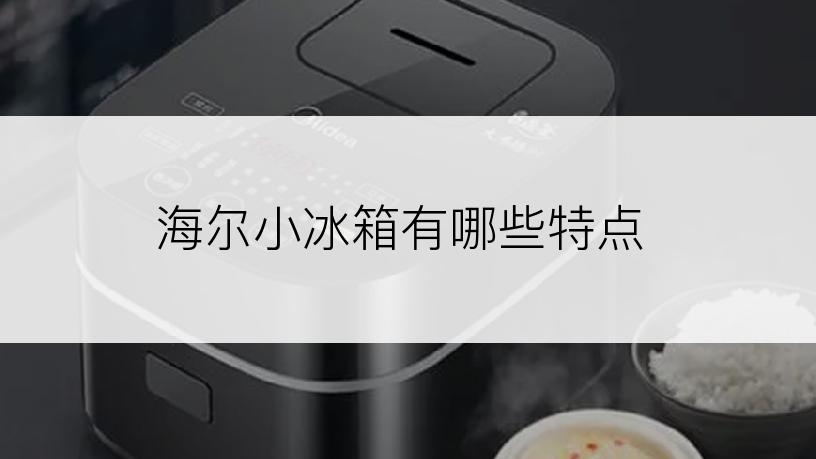 海尔小冰箱有哪些特点