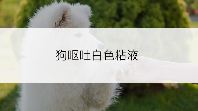 狗呕吐白色粘液